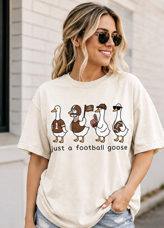 Football Goose